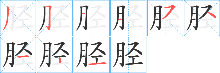 胫