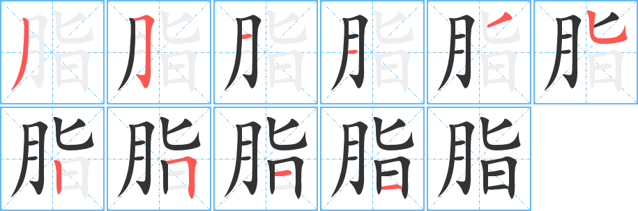 脂
