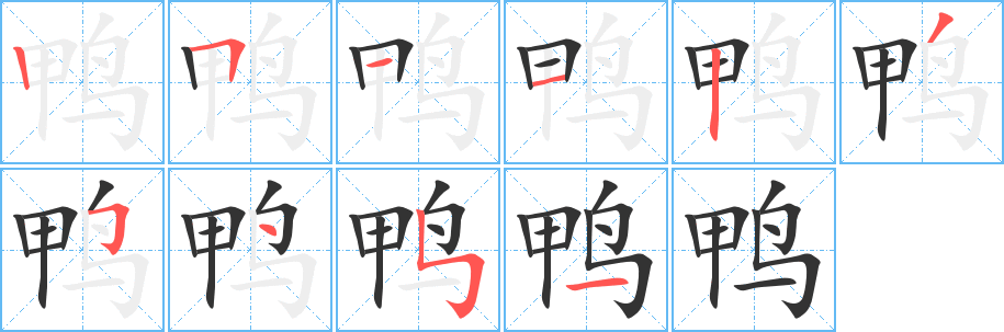 鸭